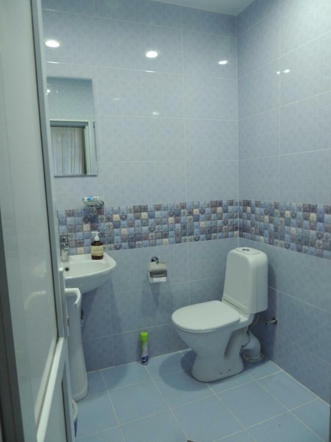 Blue Guesthouse Kazbegi Esterno foto
